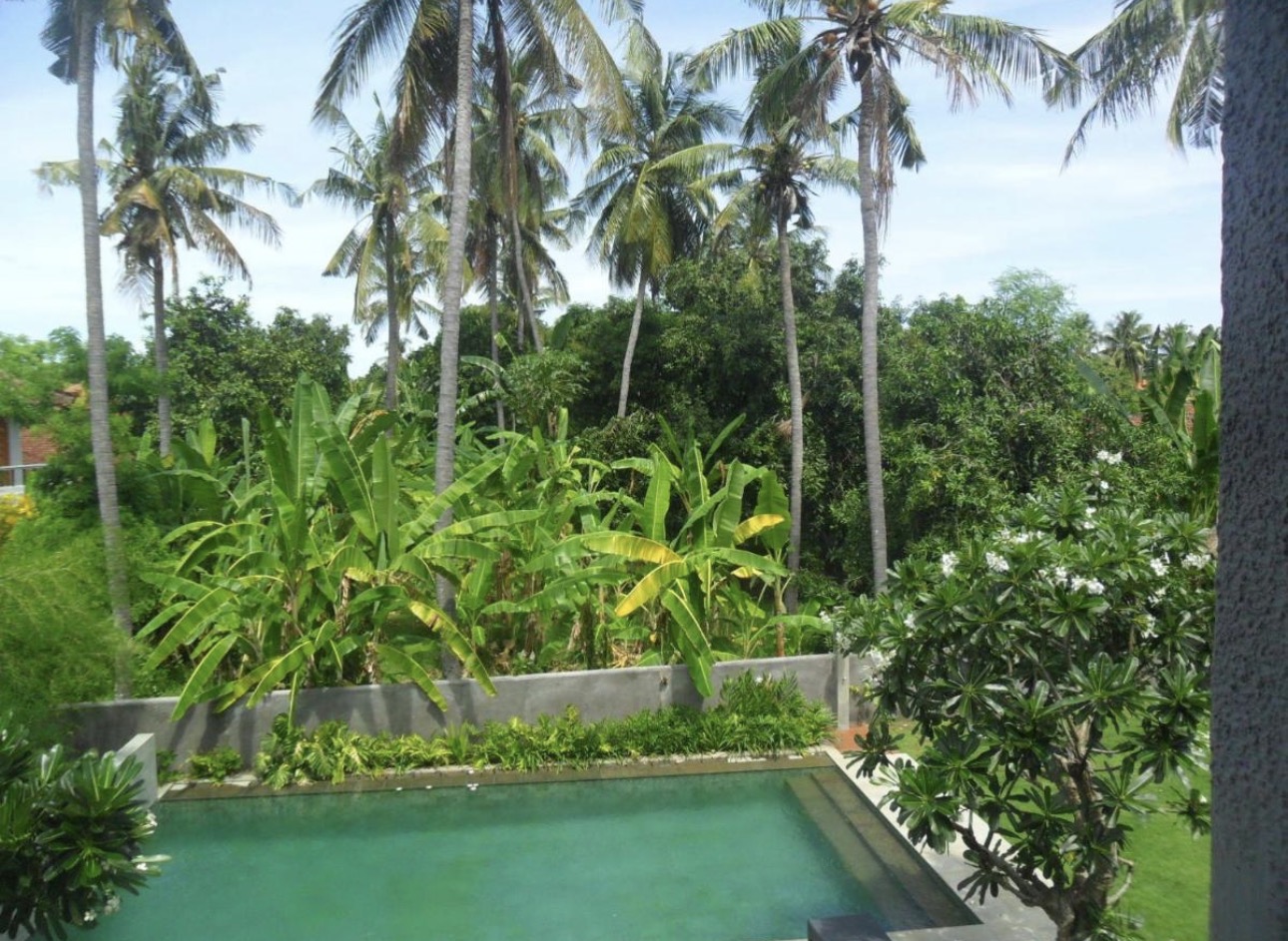 Vista de la piscina desde una terraza entre palmeras